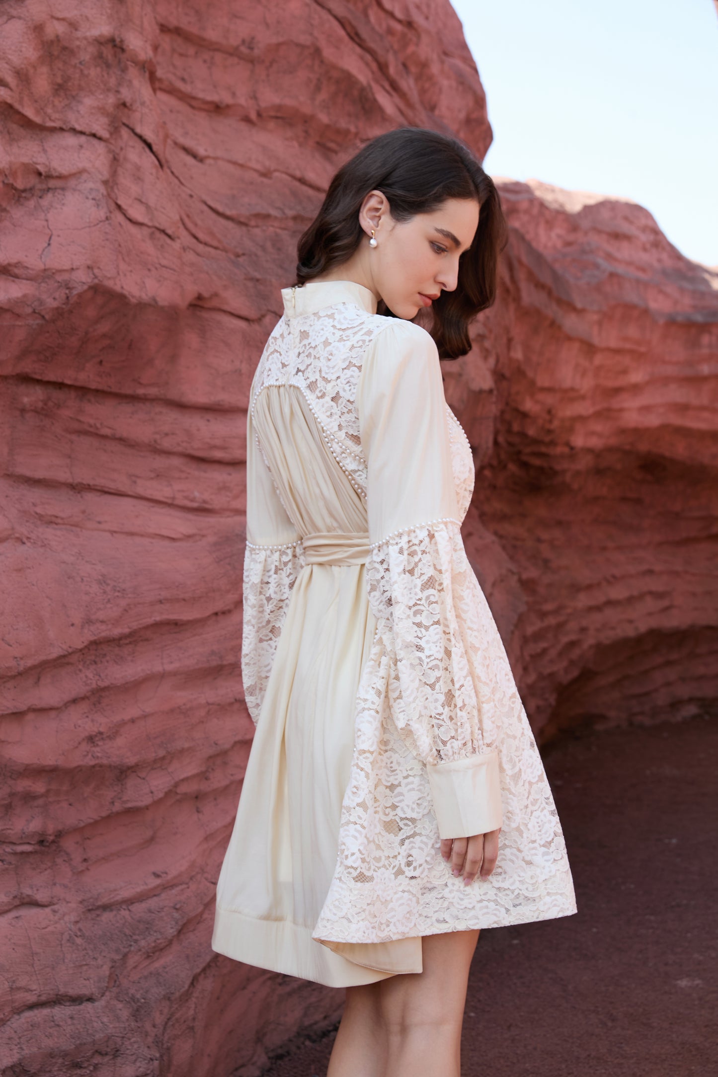 Lace Sleeve Mini Dress