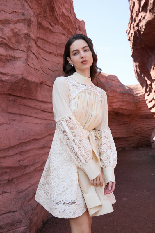 Lace Sleeve Mini Dress