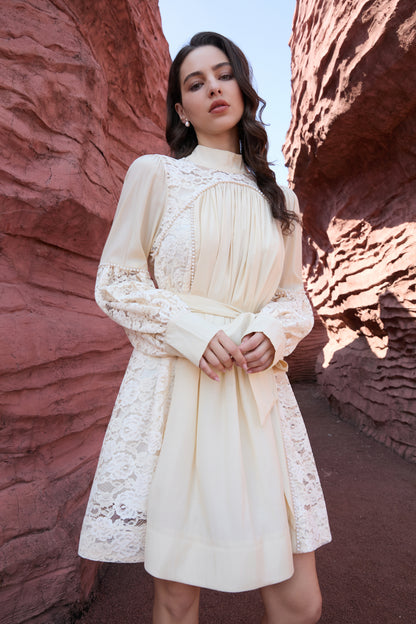 Lace Sleeve Mini Dress