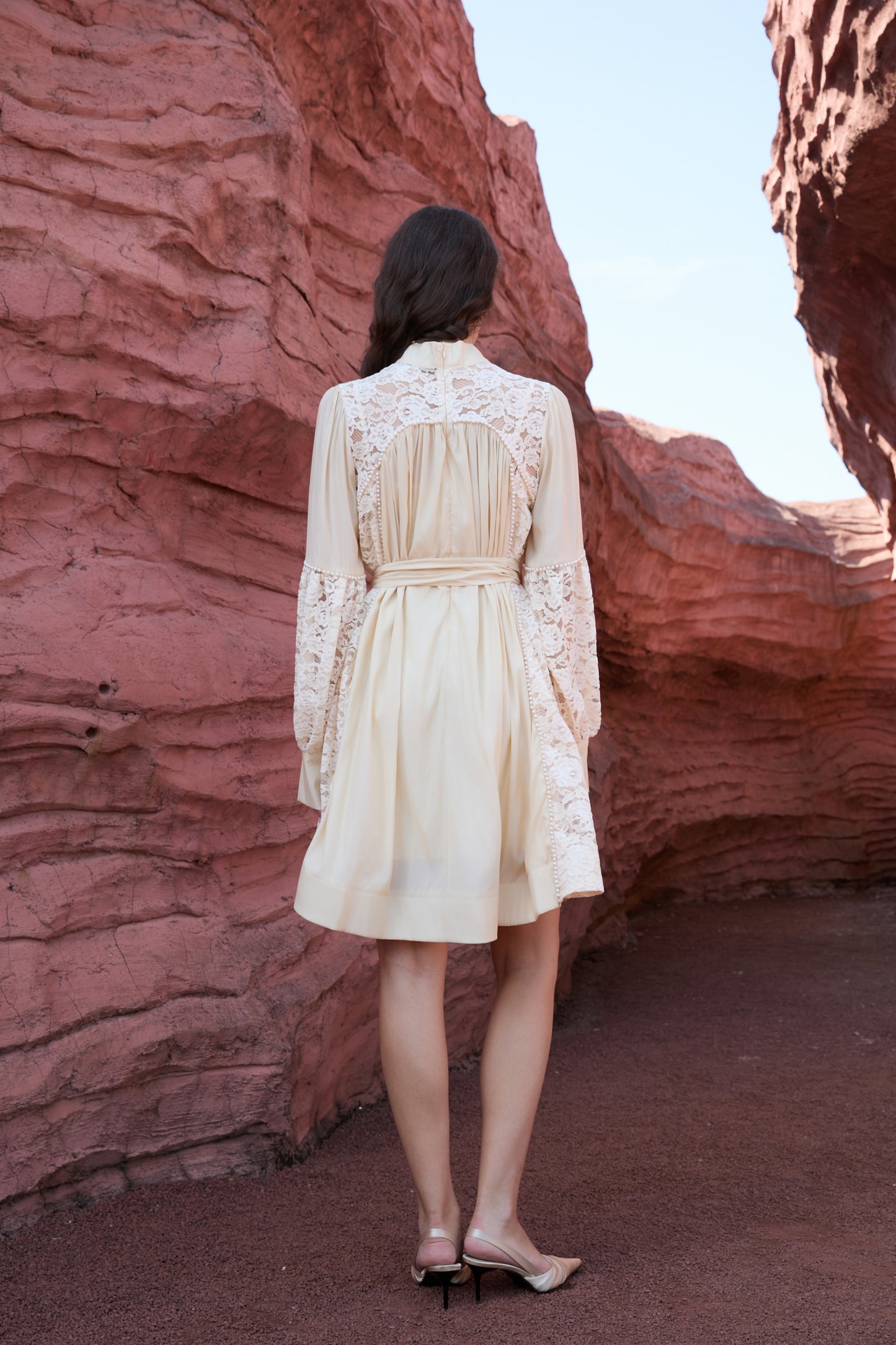 Lace Sleeve Mini Dress