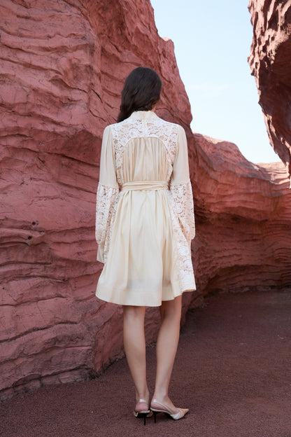 Lace Sleeve Mini Dress