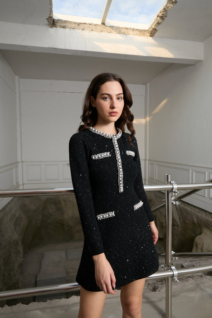 Iconic Crystal Detail Mini Dress