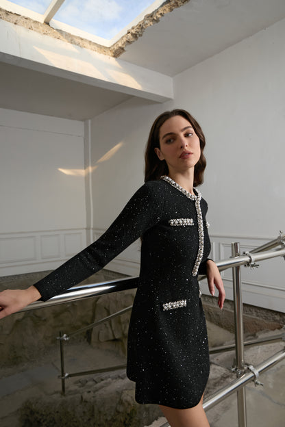 Iconic Crystal Detail Mini Dress