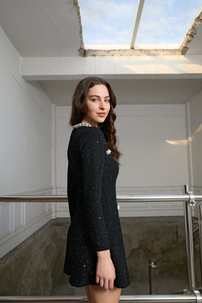 Iconic Crystal Detail Mini Dress